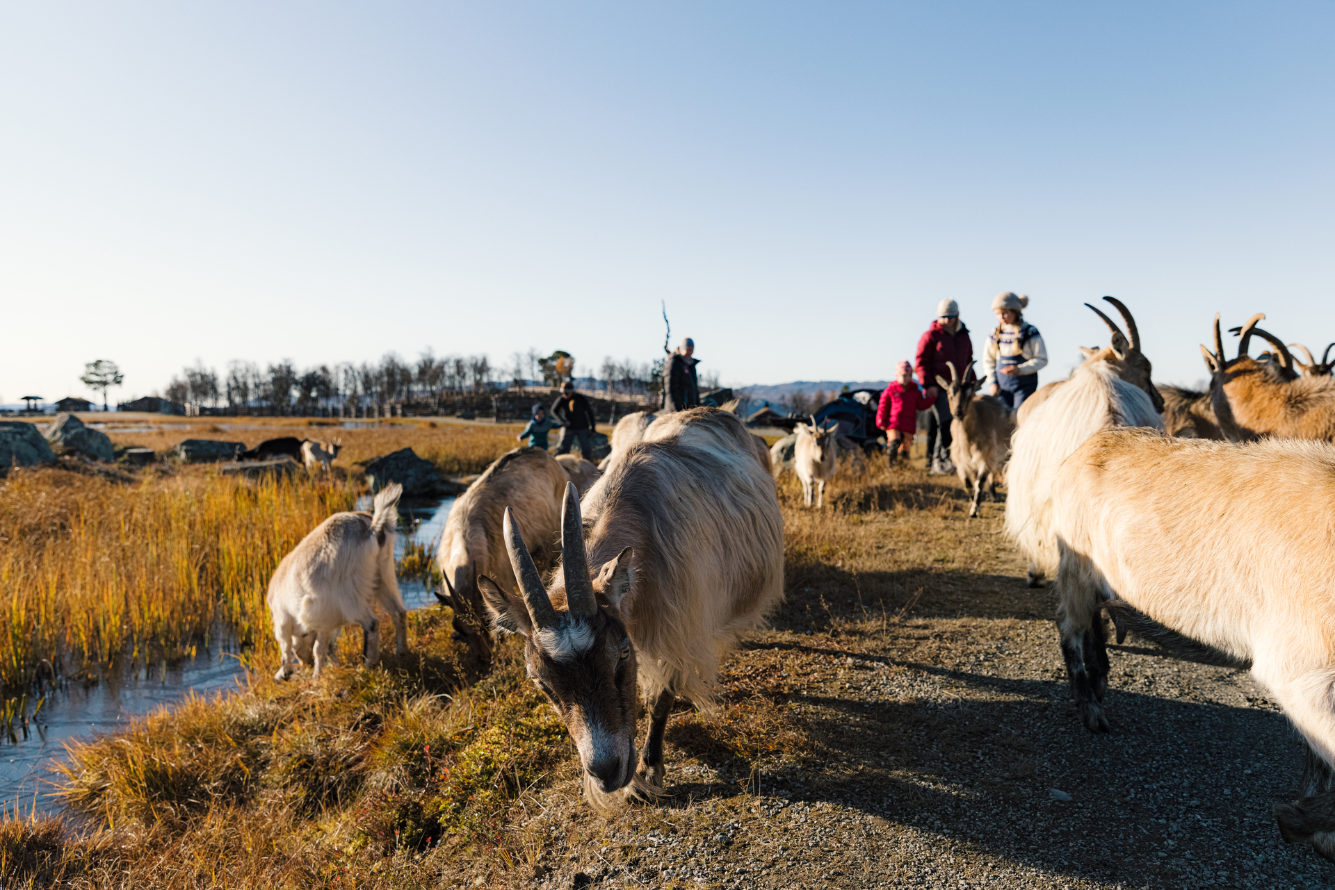 Høstaktiviteter på Geilo | Geilo