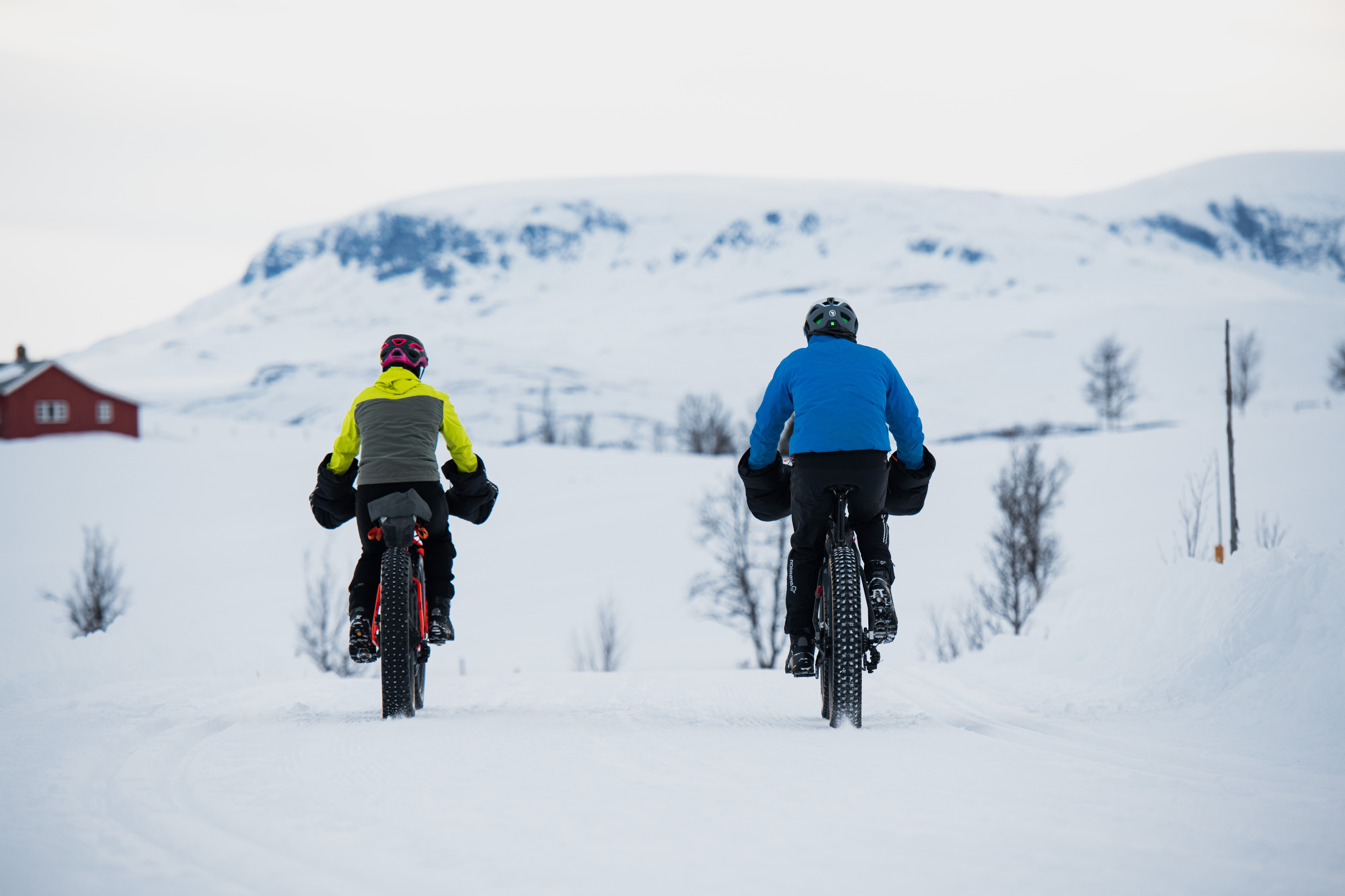 Fat bike usage sale