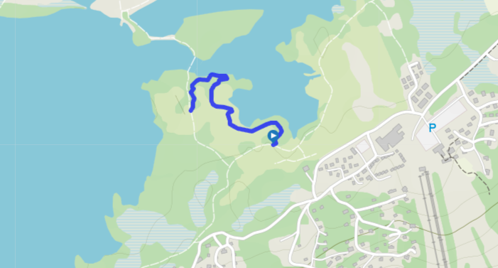 Fossekallen