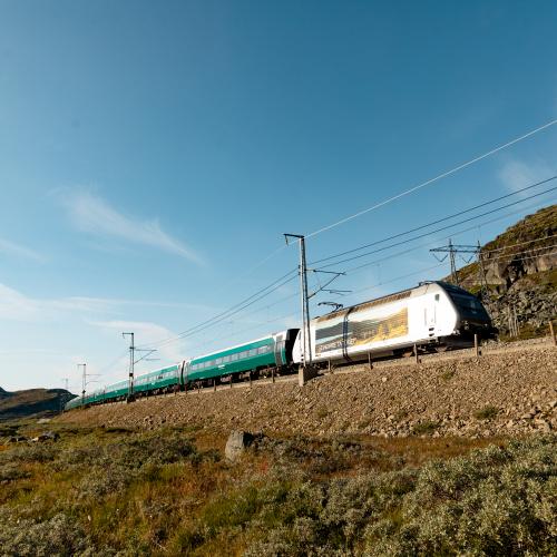 Bergensbanen til Geilo