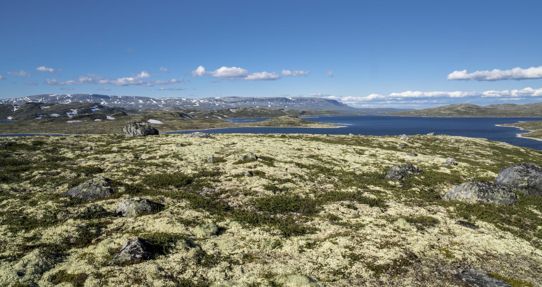 Storekrækkja er en rundtur fra Fagerheim via Krækkja, midt på Hardangervidda