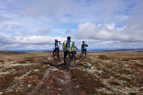 Whole day trail-ride on the highlands - "The Whole Enchilada"