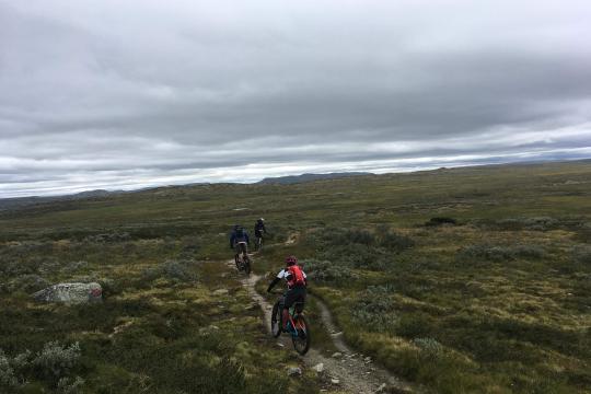 Ride with guide - Halvdagstur