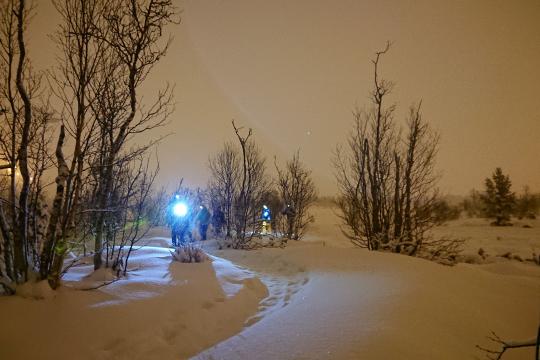 Evening snowshoe tour at Vestlia