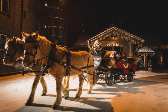 Exclusive horse-drawn sleigh ride