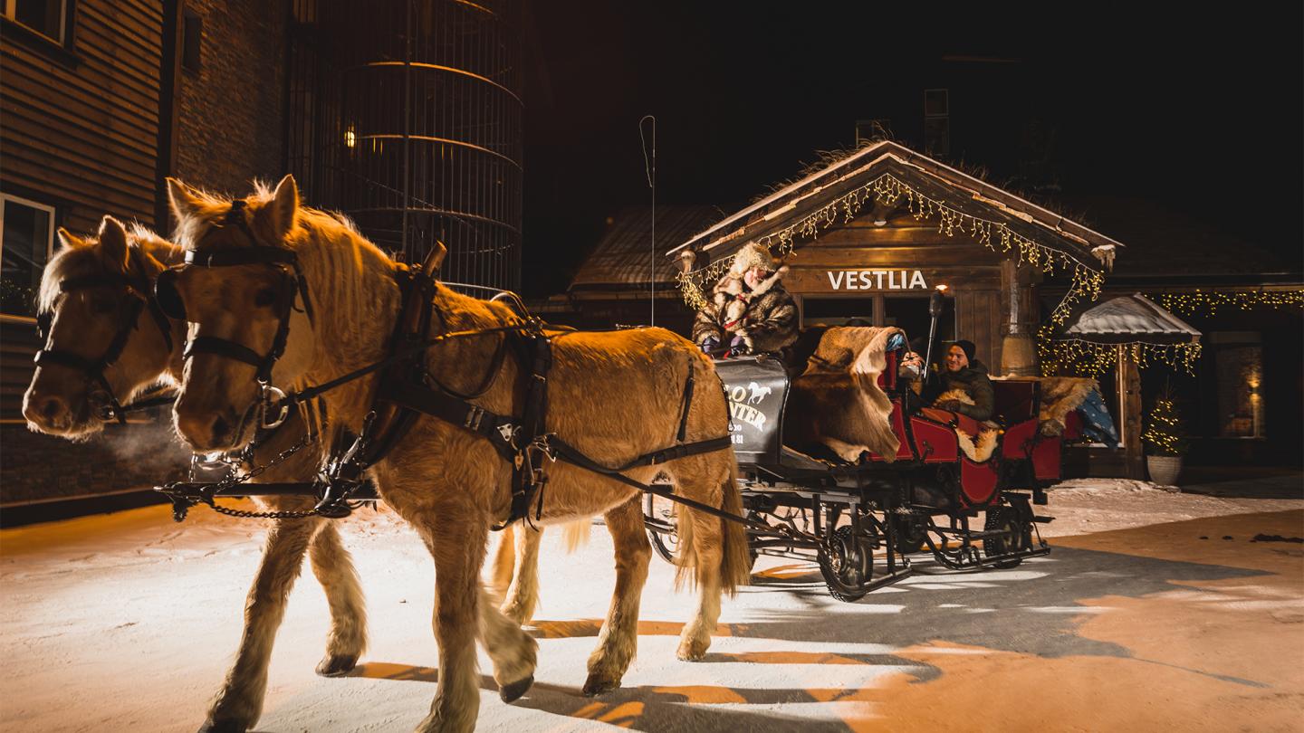 Horse sleigh ride in front hotel Vestlia