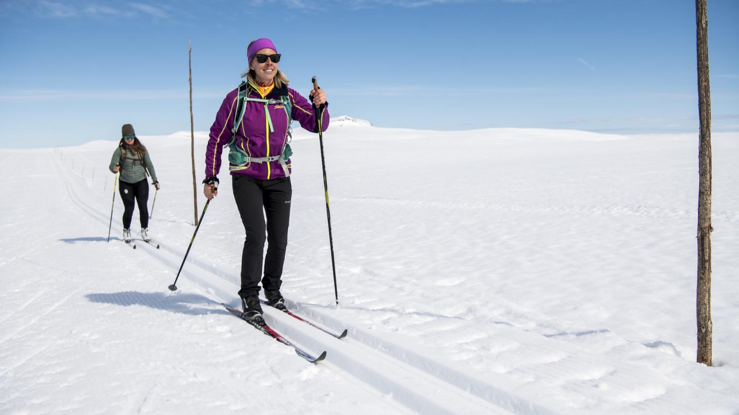 Hardangervidda skitur