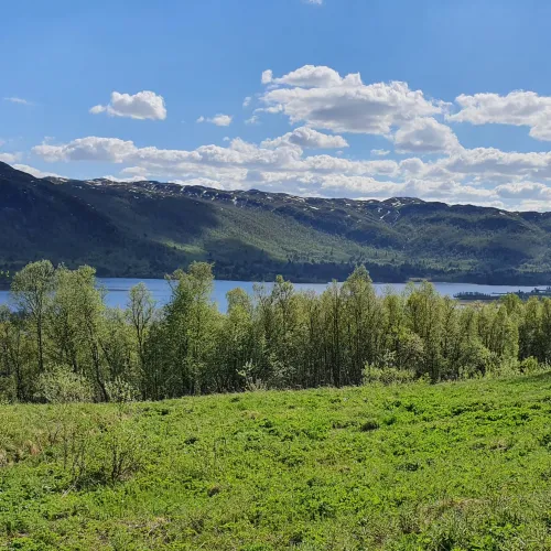 Landskapsbilde med gress, en del av Ustedalsfjorden, liene på andre siden og blå himmel. 