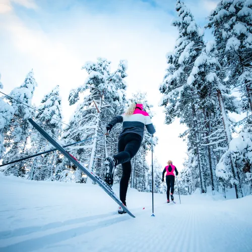 På langrennstur i skogen