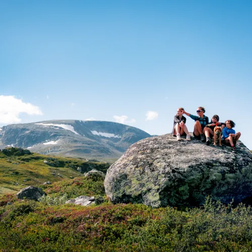 Fjelltur