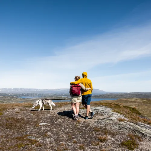 Fjelltur halne par