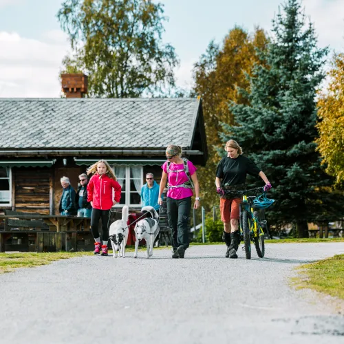 Geilojordet og Ustedalsfjordenrundt passer til alle og er både en flott gåtur og sykkeltur