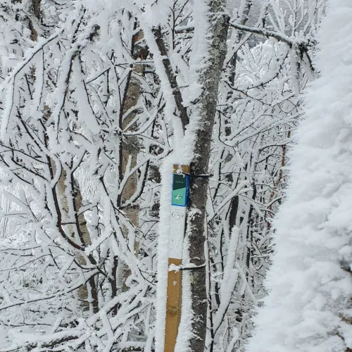 Snøfylt stolpejakt i november på Geilo
