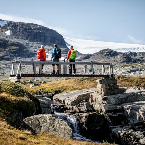 Brevandring på Hardangerjøkulen 