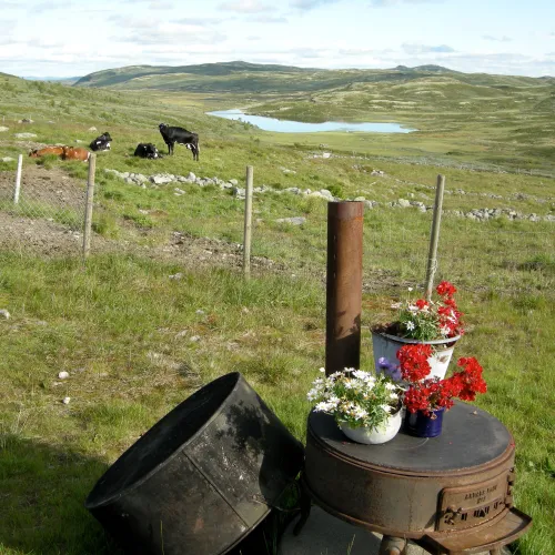 Fagerdalen sommer