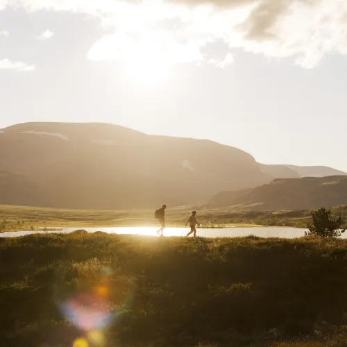 Høstvandring i solnedgang i Budalen