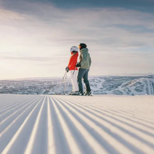 ski