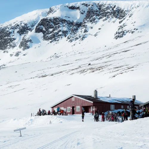 Prestholtseter langrennstur