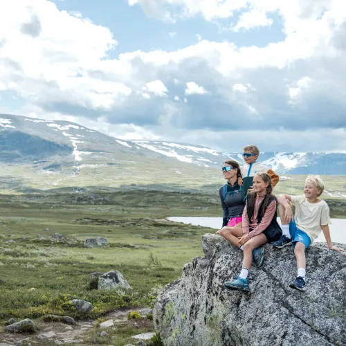 Vandring Hardangervidda