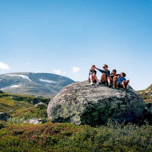 Fjelltur