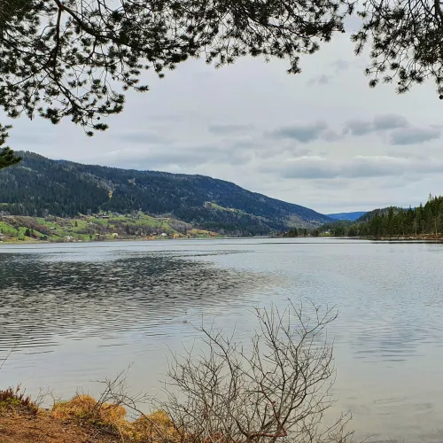 Oversikt over Holsfjorden tidlig i sesongen