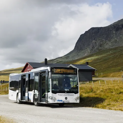 Nasjonalparkbussen sommer 2026