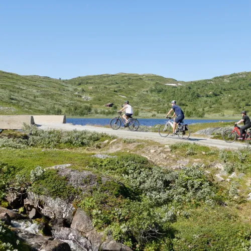 sykel til tuva
