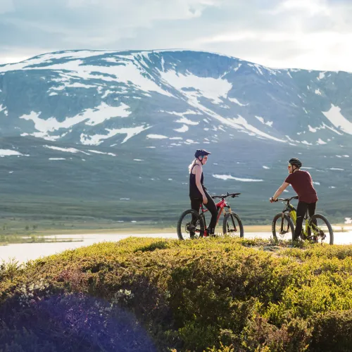 sykkelutleie på geilo