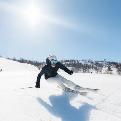 Alpine Skiing 