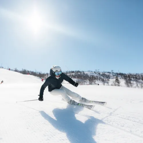 ski