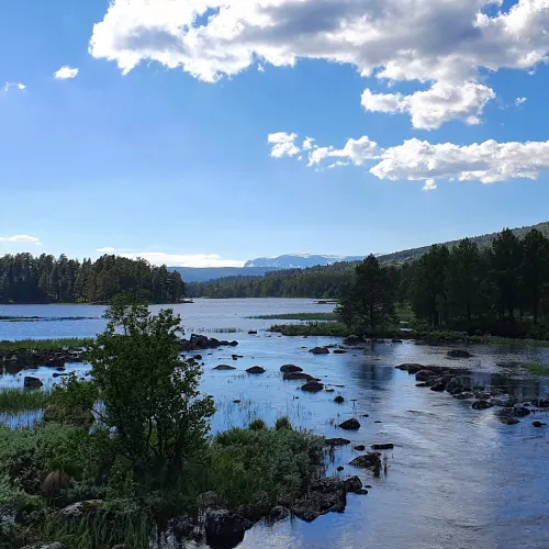 Brua over Skurdalsfjorden gir flott utsikt