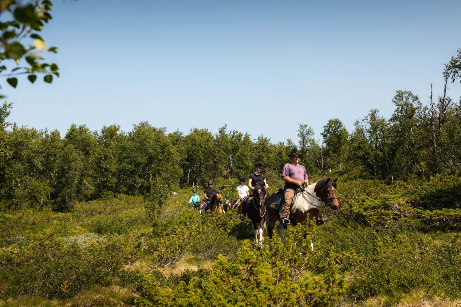 Ridning Geilo Hestesenter