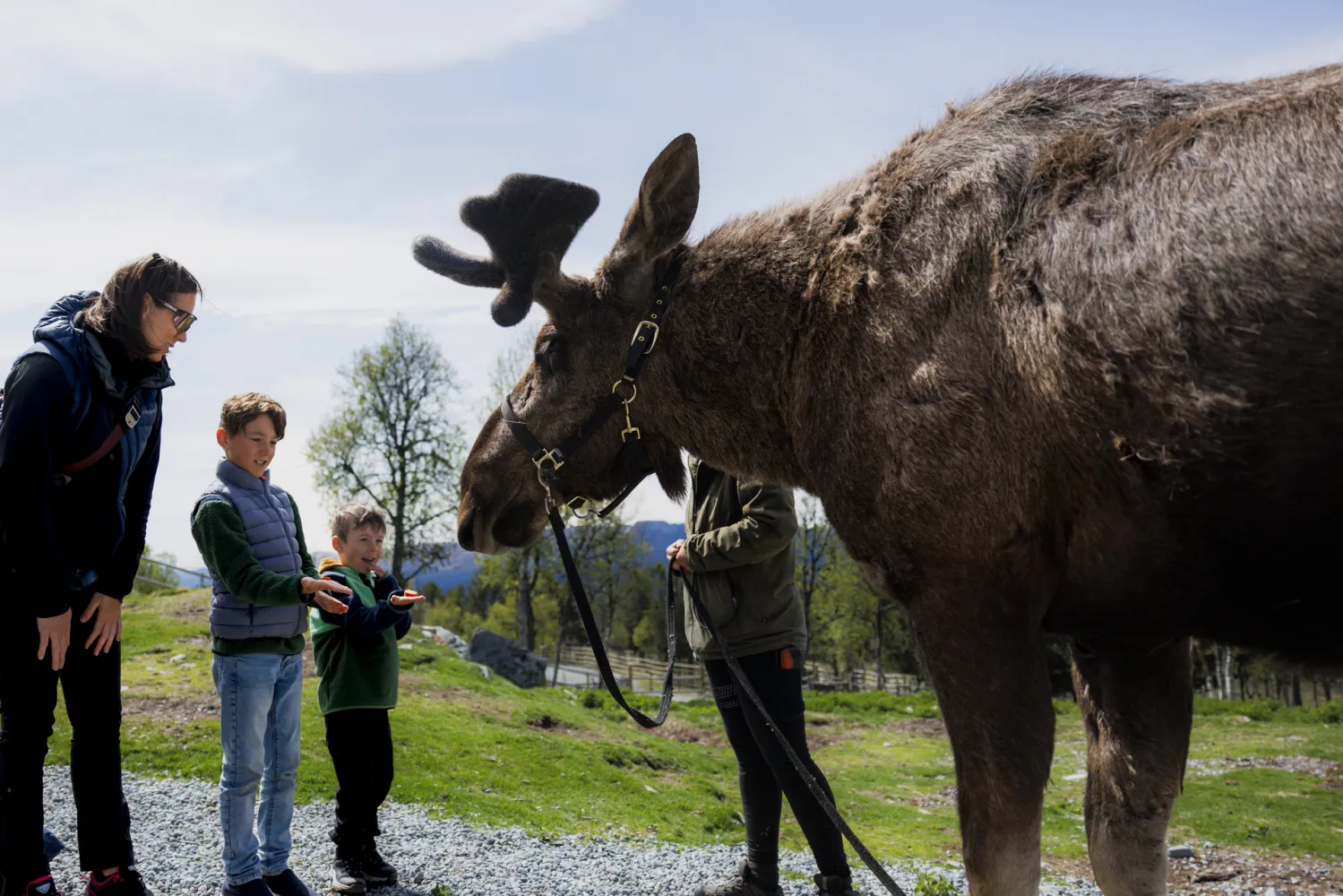 Langedrag naturpark familie som mater stor helg i nydelig solskinn