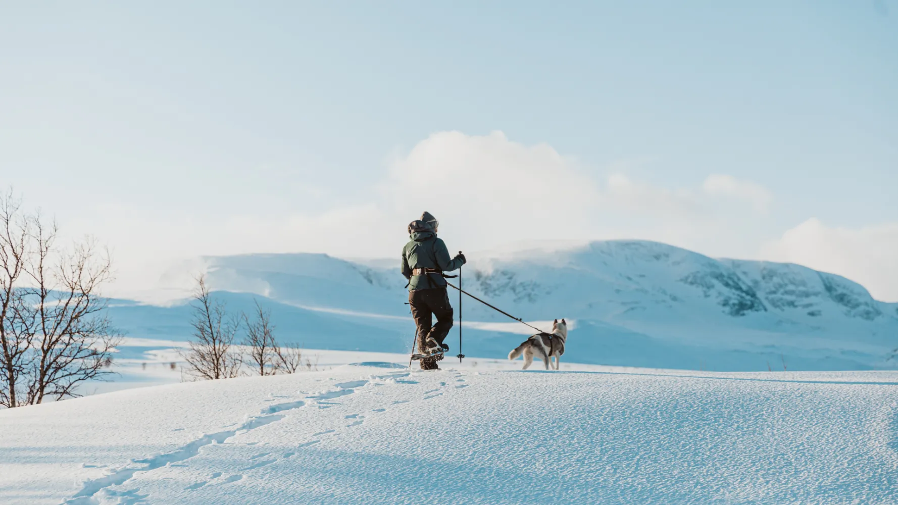hund med truger