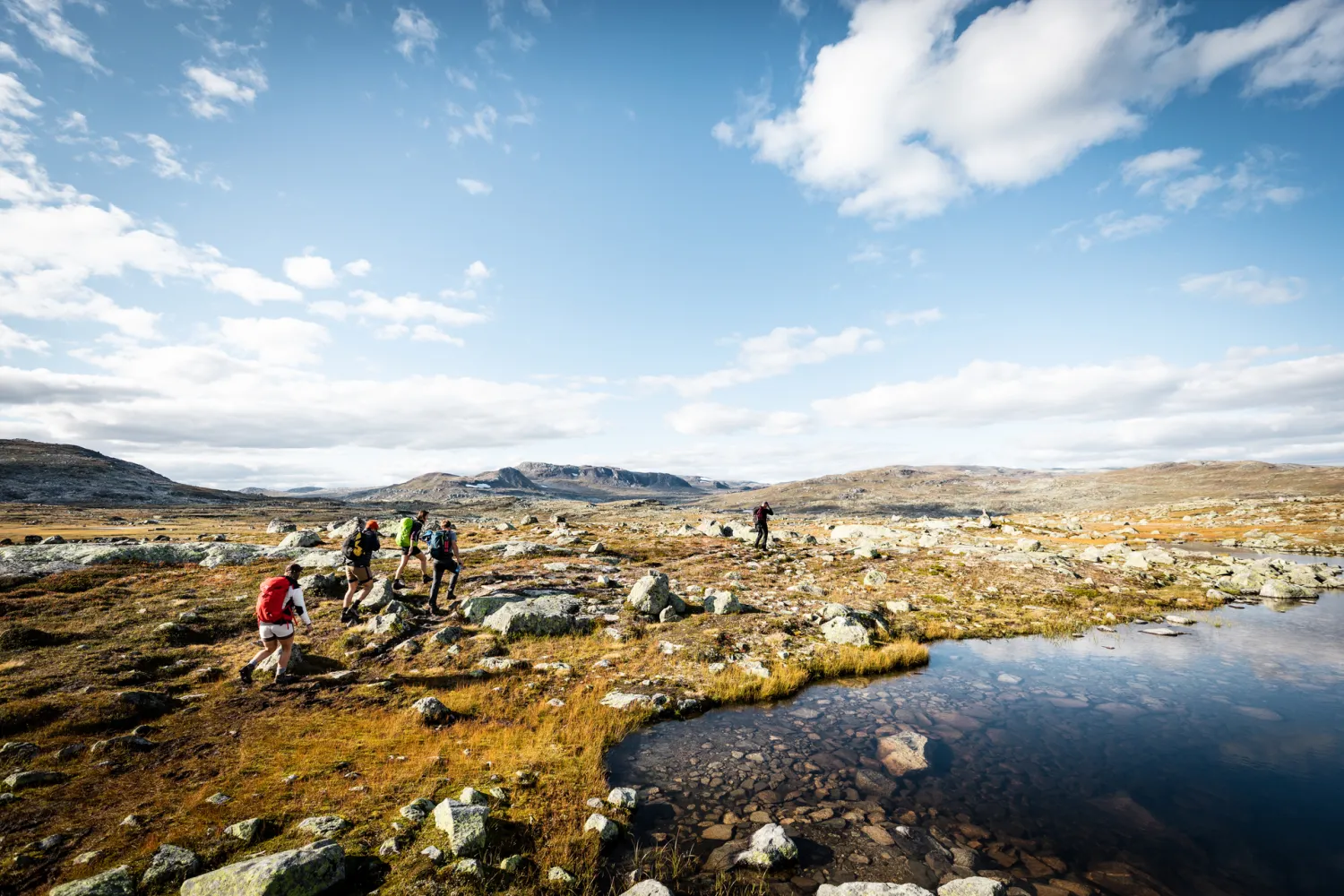 Brevandring på Hardangerjøkulen 