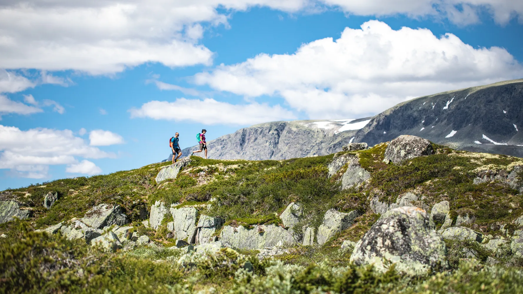 Hiking Hallingskarvet