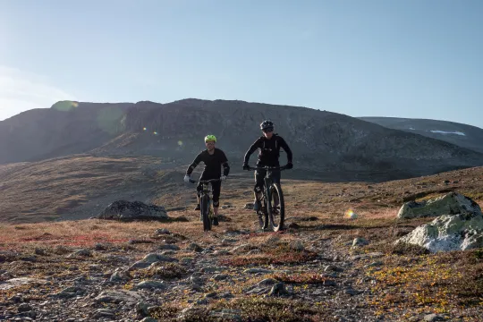 Guided mountain trail biking – for experienced riders