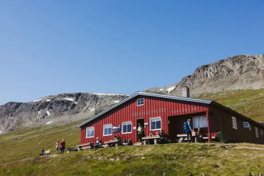 Prestholtseter