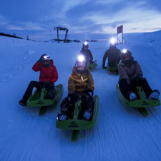 Aking - Dagali Fjellpark