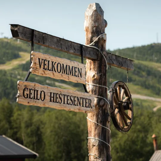 Geilo Hestesenter