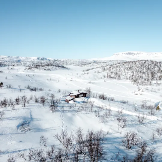 Hakkesetstølen