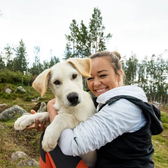 Meet and Greet Geilo Husky hvit hund