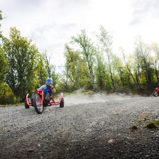 Mountain cart I dagali