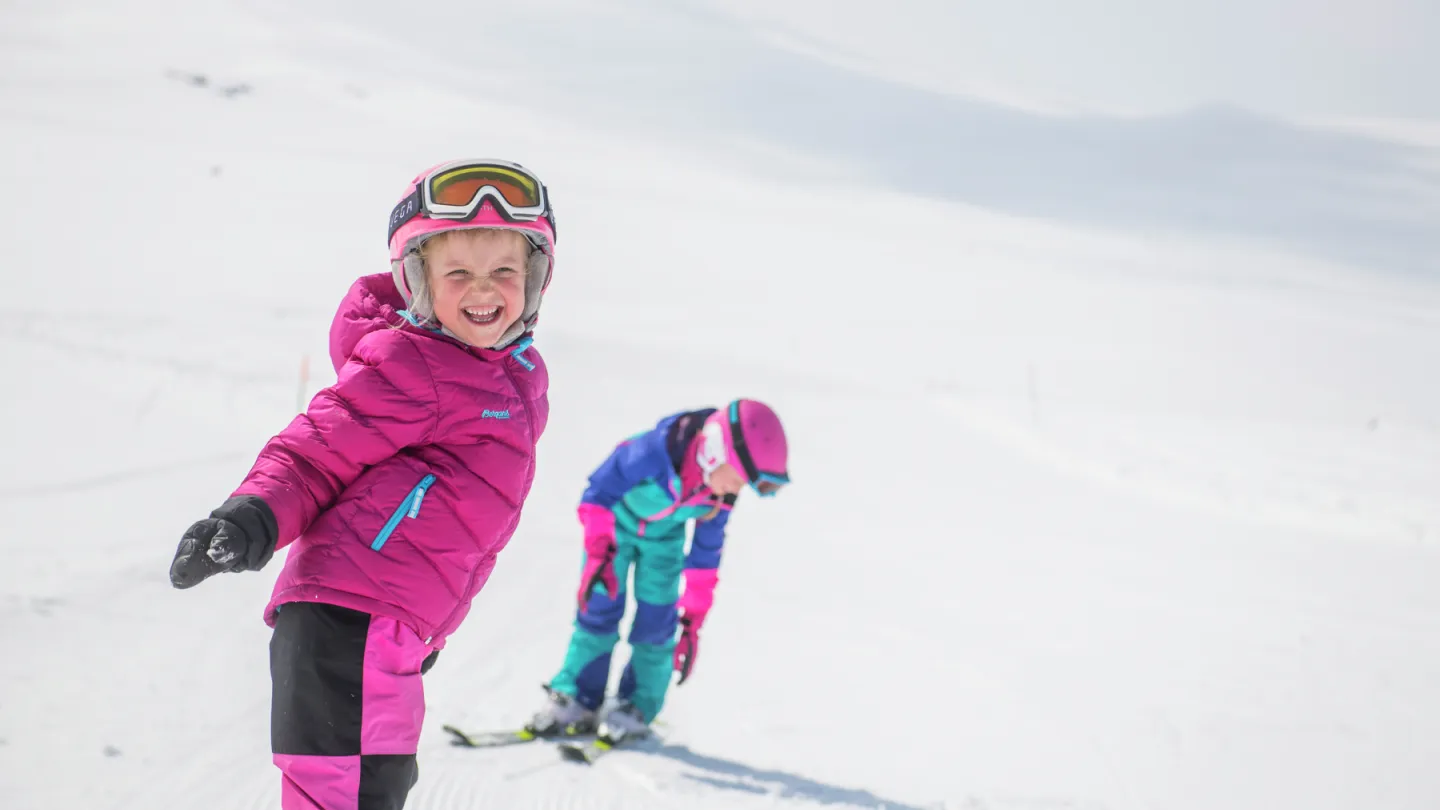 ski