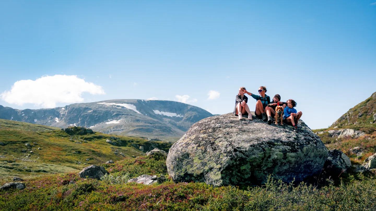 Fjelltur