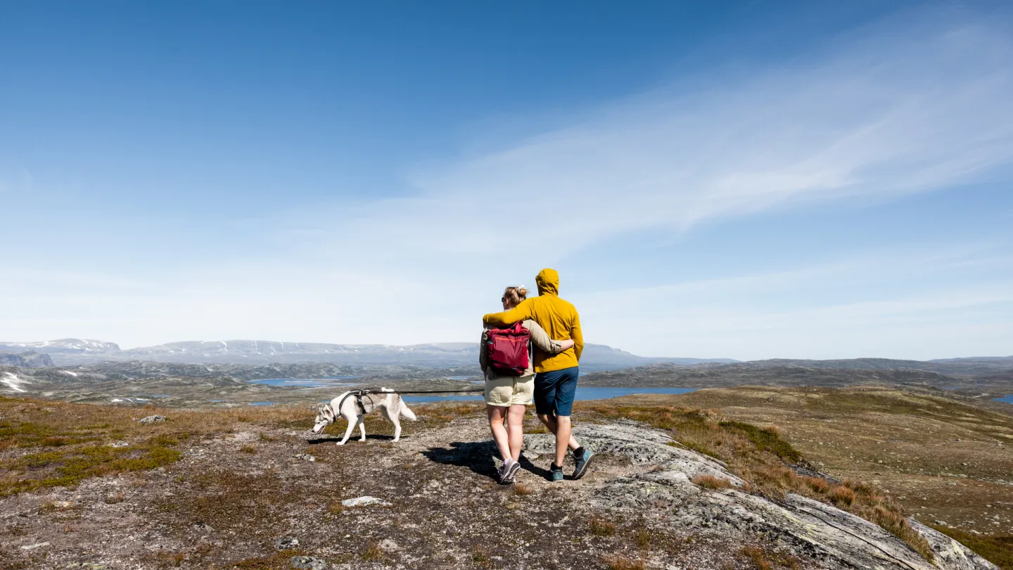 Fjelltur halne par