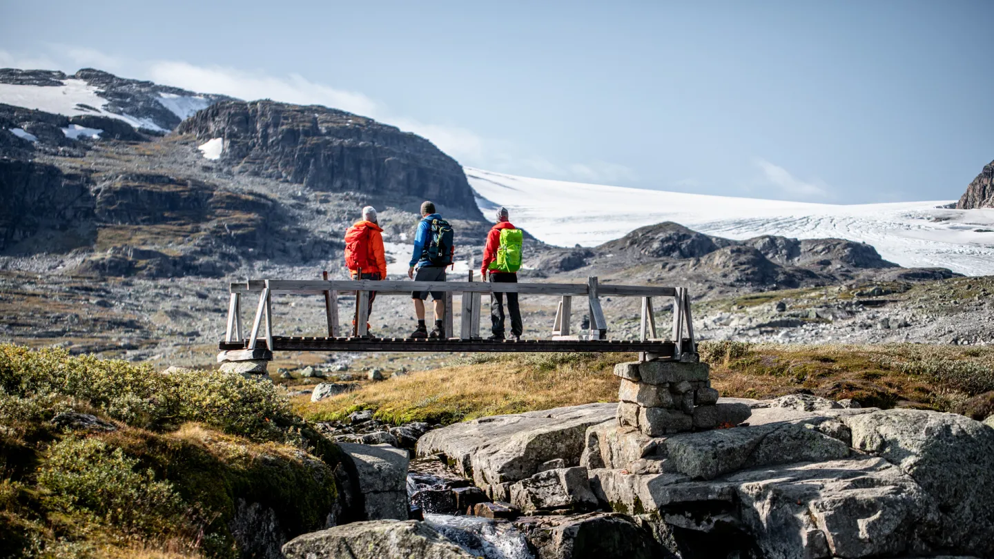 Brevandring på Hardangerjøkulen 