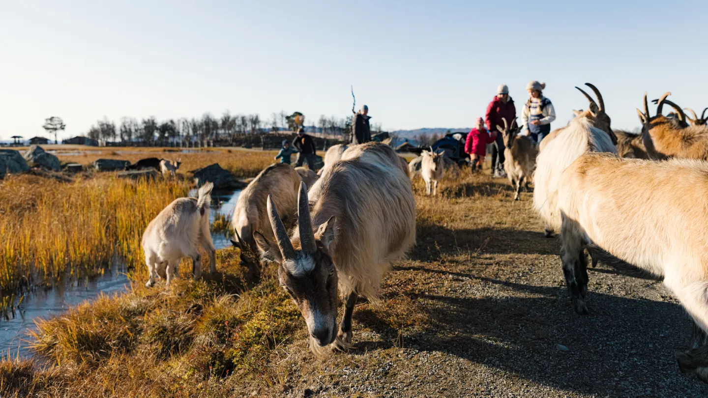 Langedrag Naturpark