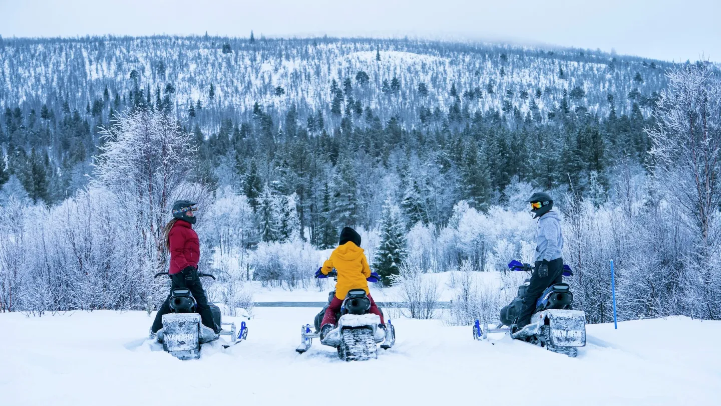  Snøscootersafari gjennom vinter landskap med snø på trær