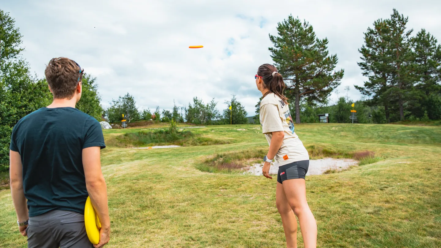 Frisbeegolf